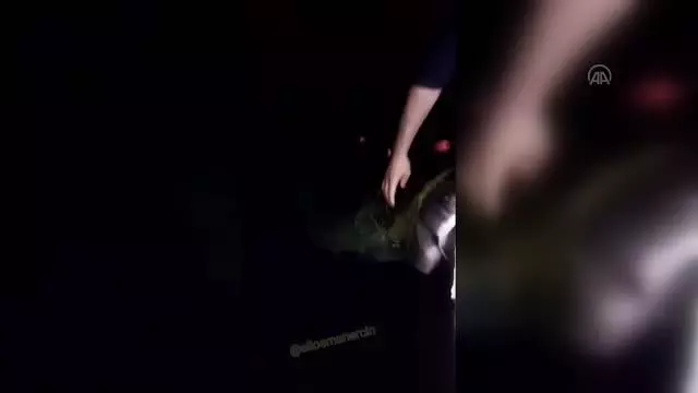 Trabzonlu balıkçının ağına takılan köpek balığına sözleri Karadeniz fıkralarını aratmadı
