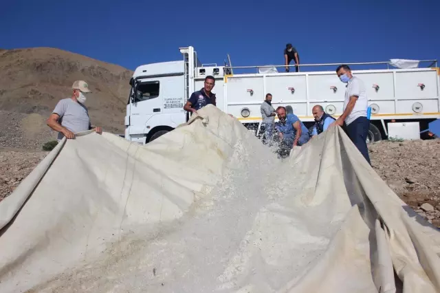 Van'da 1 milyon 200 bin yavru balık suyla buluştu