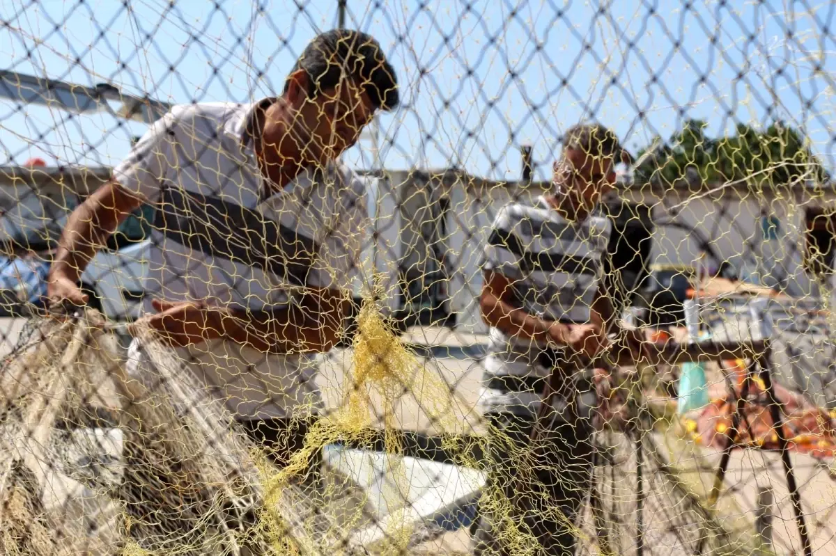 Yeni balık sezonundan bir kötü bir de iyi haber