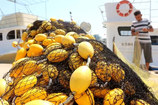 yeni balik sezonundan bir kotu bir de iyi hab 4 14353360 o