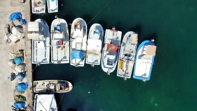 yeni balik sezonundan bir kotu bir de iyi hab 6 14353360 o