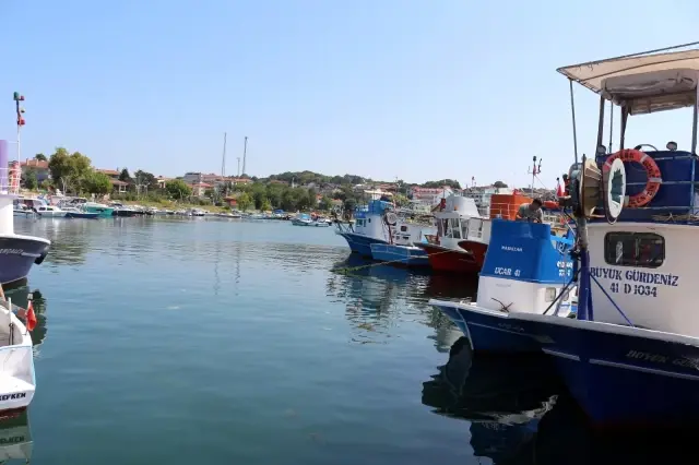 yeni balik sezonundan bir kotu bir de iyi hab 9 14353360 o