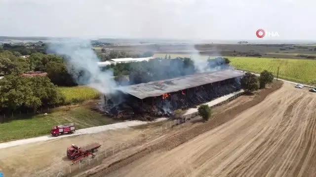 6 bin 500 adet saman balyası küle döndü