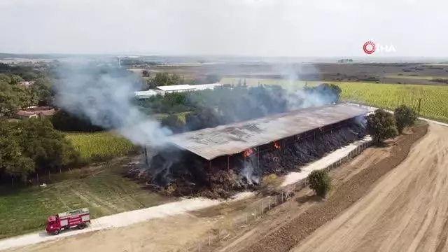 6 bin 500 adet saman balyası küle döndü