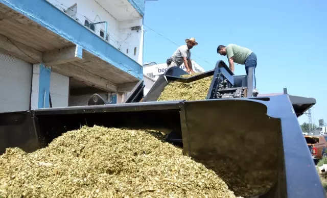 Bafra'ya kombine silaj ve küspe paketleme makinesi