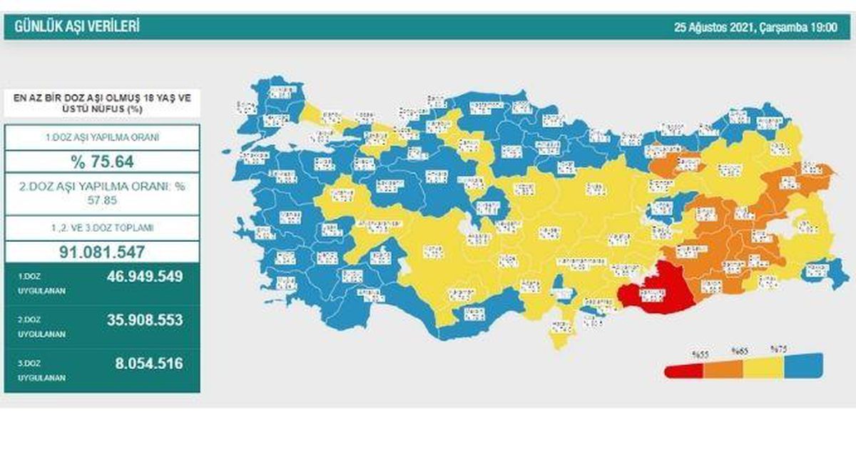 Hangi ilde ne kadar aşı yapıldı? İstanbul, Ankara, İzmir, Bursa, Adana, Samsun aşı sayıları ve aşı haritası! 26 Ağustos günlük aşı ve doz sayıları!