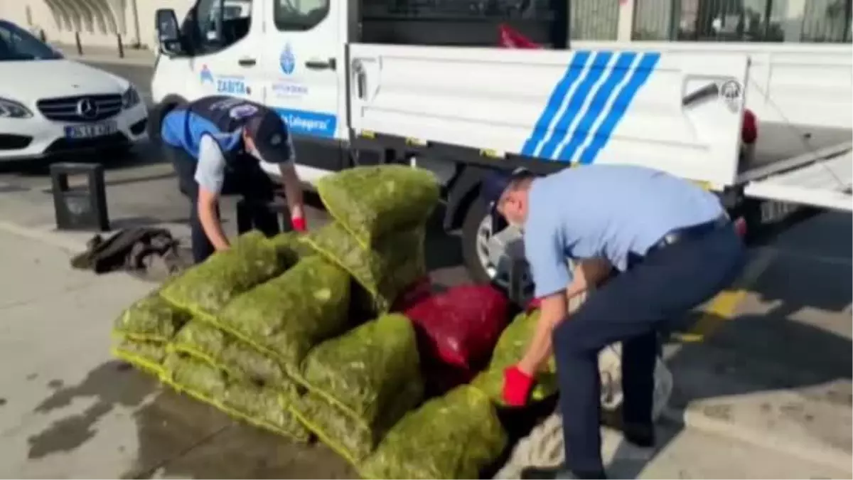 Sarıyer'de 1 ton midye ele geçirildi