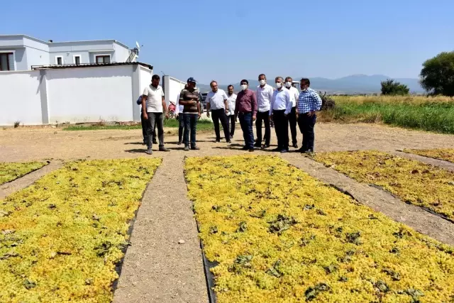 Şehzadeler Belediyesi her yıl 100 kilometre ova yolu asfaltlamayı hedefliyor
