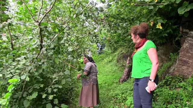 Şiddetli yağmurda çöken duvar saniye saniye görüntülendi