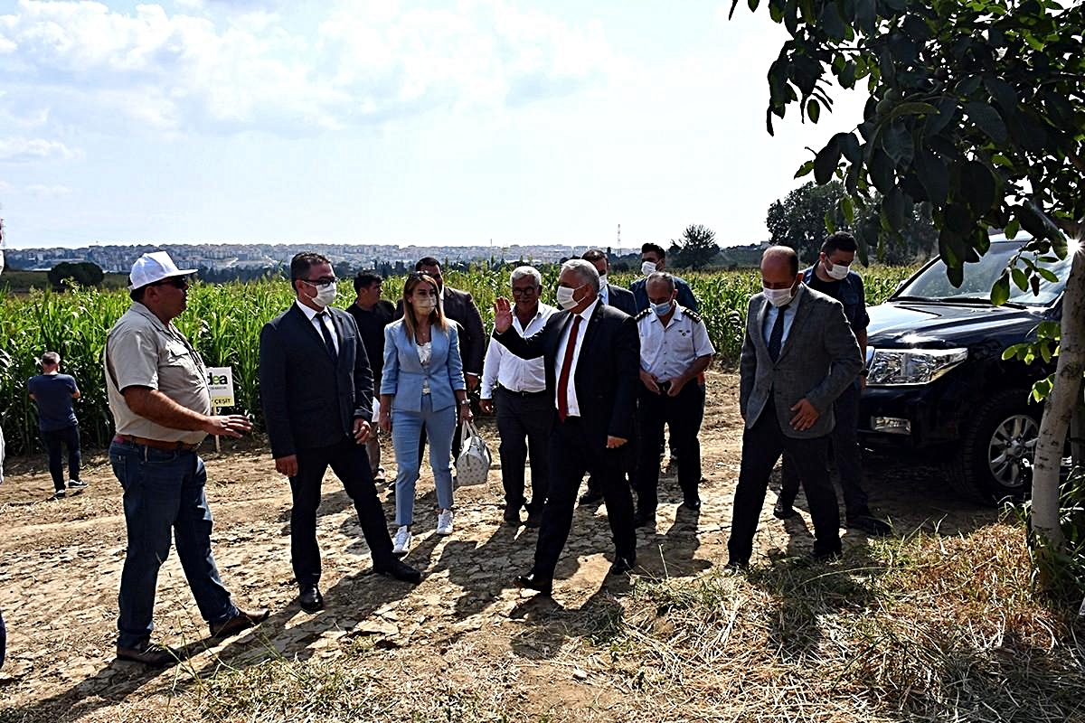 Tekirdağ'da silajlık sorgum tarla günleri düzenlendi - Vimarsana News