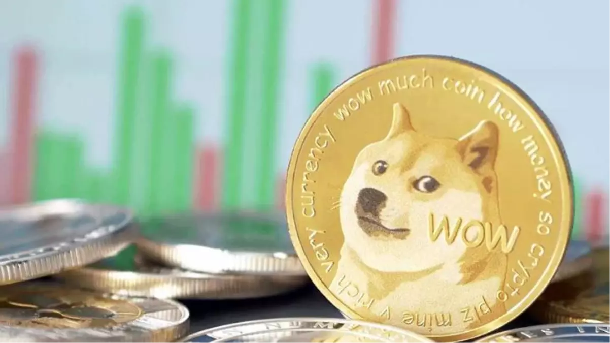 Thodex'in ardından bu kez 1 milyar liralık Dogecoin vurgunu! 12 kişi hakkında yakalama kararı çıkarıldı