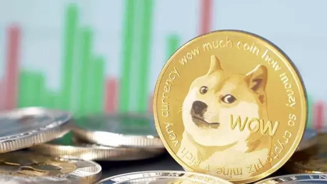 Thodex'in akabinde bu defa 1 milyar liralık Dogecoin vurgunu! 12 kişi hakkında yakalama kararı çıkarıldı