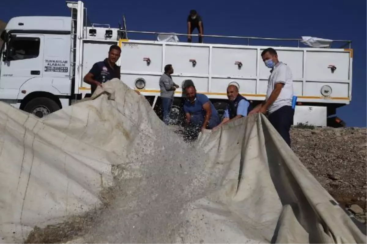 Van'da 14 göl ve barajda balıklandırma çalışması
