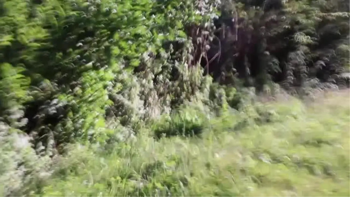 Yolculuk ettikleri otobüsün arıza yapması sonrası ormana kaçan 16 yabancı uyruklu yakalandı