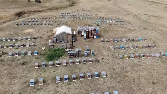 Yüksek rakımlı yaylalardaki göçer arıcılar zorlu bal hasadında