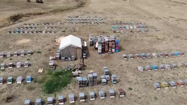 Yüksek rakımlı yaylalardaki göçer arıcılar zorlu bal hasadında