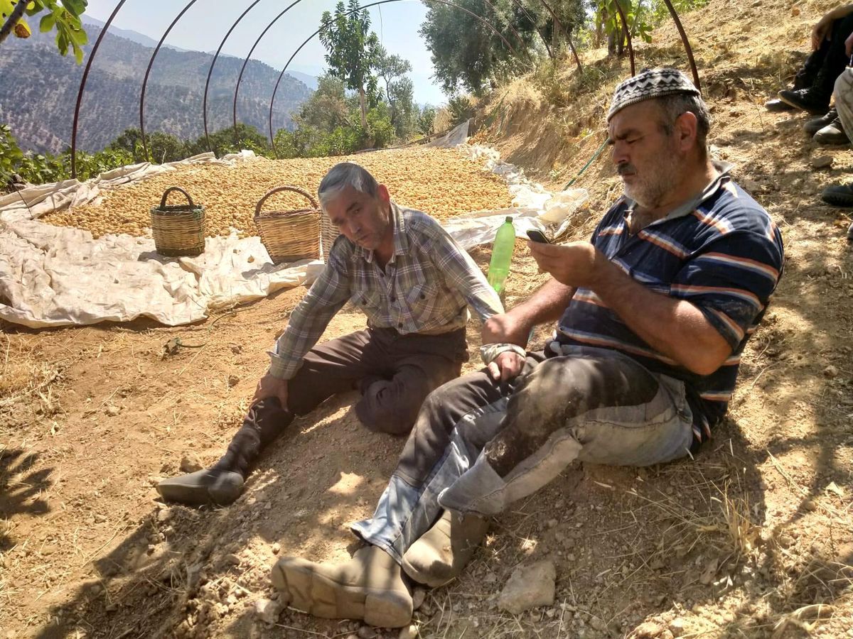 Aydınlı çiftçiler şok yaşadı, yakaladıkları hırsız çiftçilerden önce evine varıp yattı