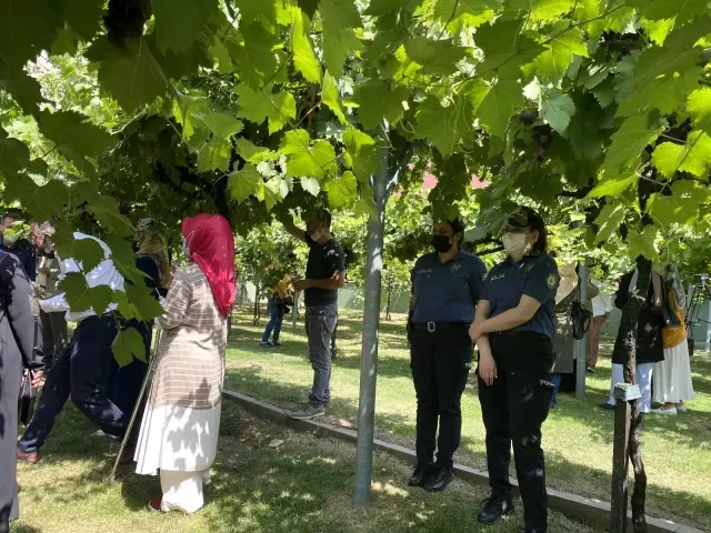 Bağcılar'da bağ bozumu