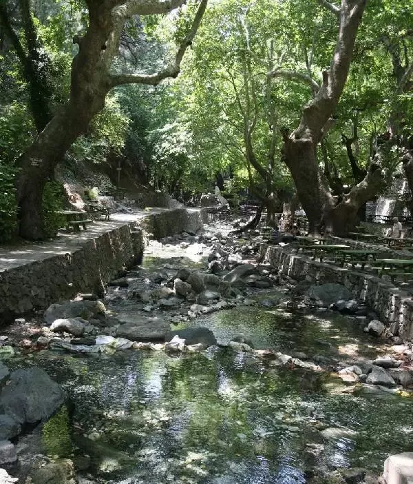 BALIKESİR ORMANLARINDA DRON UÇURMAK YASAKLANDI