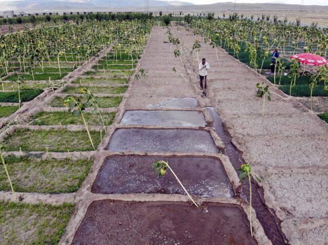 'Burada arpa bile yetişmez' denilmesine rağmen kurdukları bostanda tonlarca sebze meyve üretiyorlar