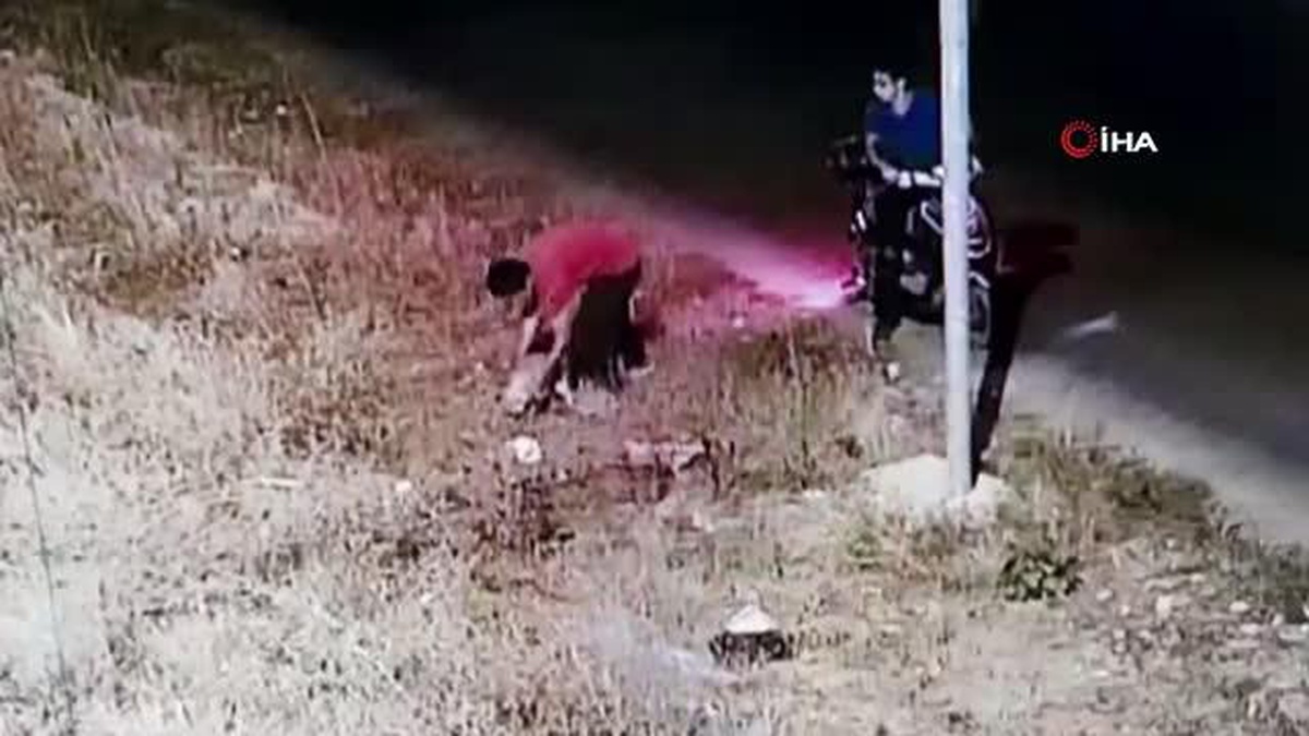Kafasından öpüp ölüme böyle terk ettiler...Yavru köpeğe anne adayı sahip çıktı - Vimarsana News