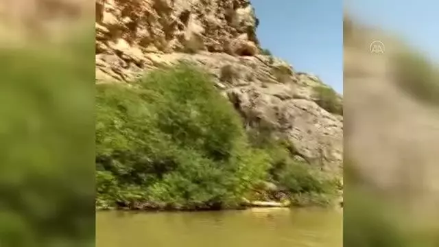 Kayalıklarda mahsur kalan keçileri JAK ve AFAD ekipleri kurtardı