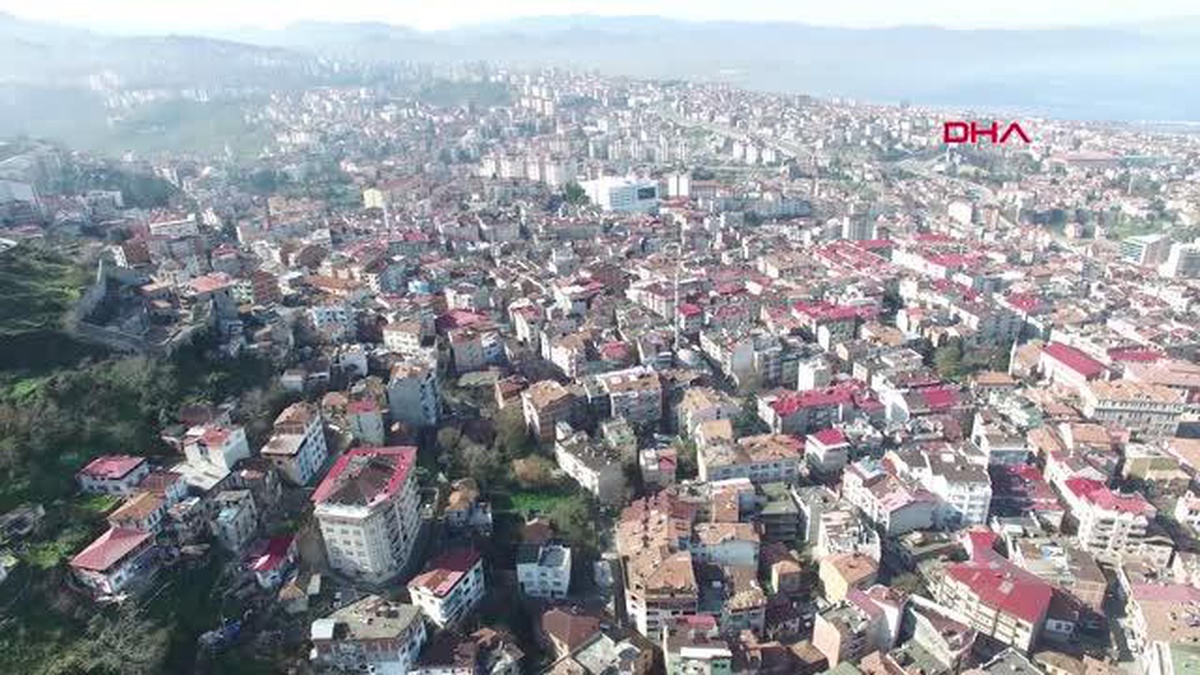 PROFESÖRÜN, EVİNE DADANAN BOZAYI İLE BAŞI DERTTE - Vimarsana News