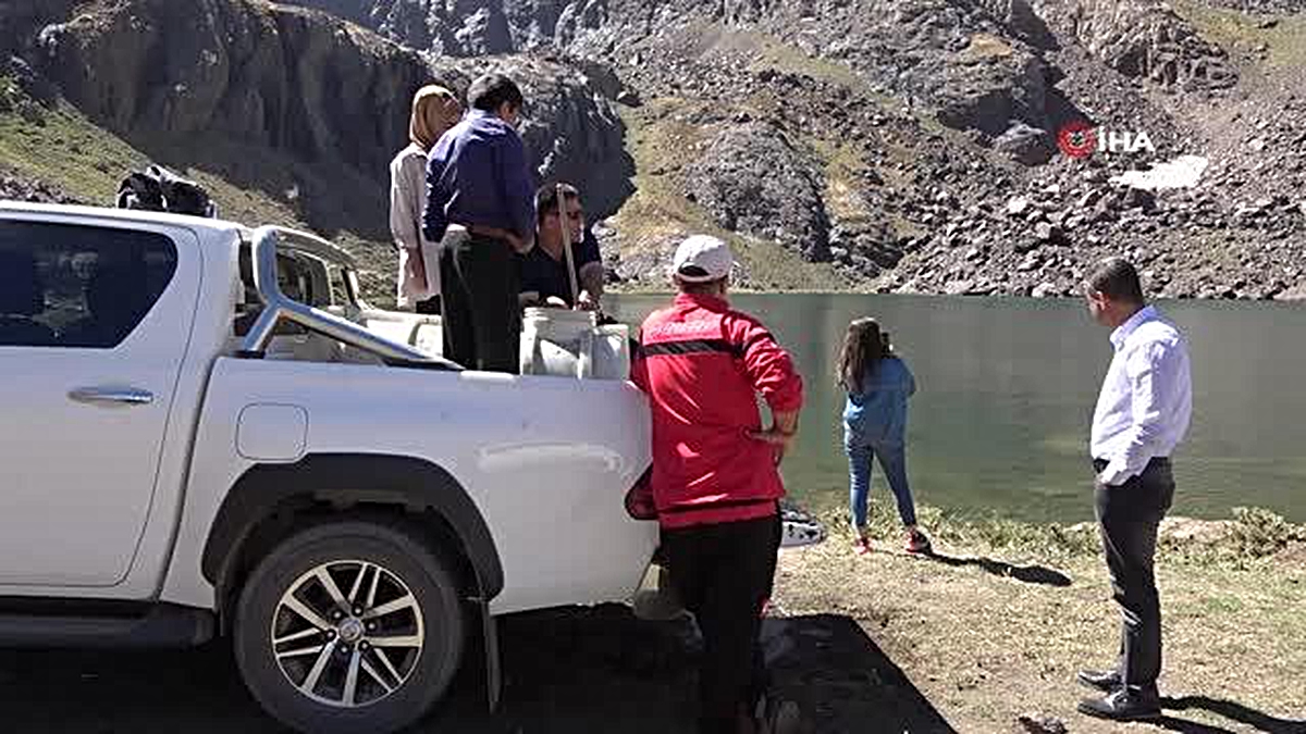 Sat Buzul Göllerine 60 bin sazan balığı bırakıldı - Vimarsana News