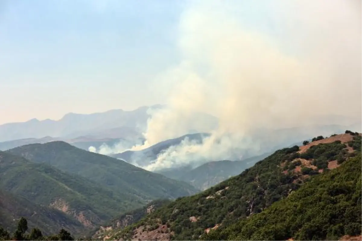 Son dakika haber... TUNCELİ'DE, AYNI BÖLGEDE YİNE ÖRTÜ YANGINI ÇIKTI