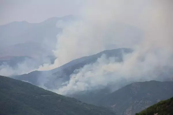 Son dakika haber... TUNCELİ'DE, AYNI BÖLGEDE YİNE ÖRTÜ YANGINI ÇIKTI
