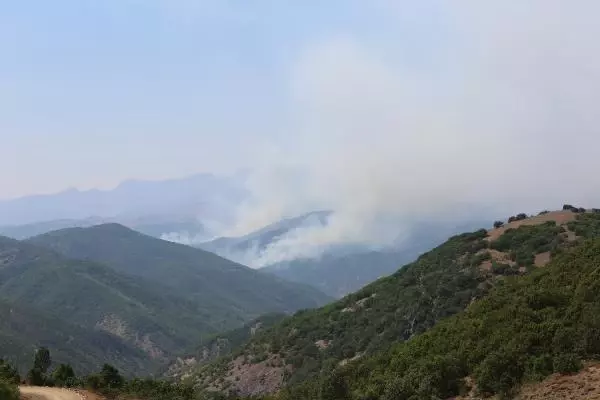 Son dakika haber... TUNCELİ'DE, AYNI BÖLGEDE YİNE ÖRTÜ YANGINI ÇIKTI