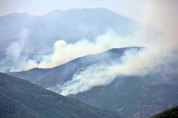 Son dakika haber... TUNCELİ'DE, AYNI BÖLGEDE YİNE ÖRTÜ YANGINI ÇIKTI
