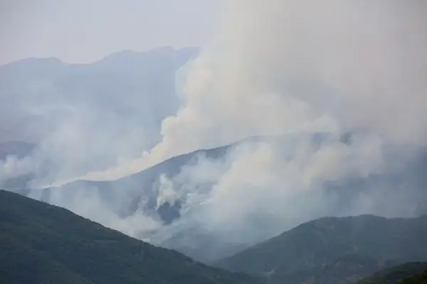 Son dakika haber... TUNCELİ'DE, AYNI BÖLGEDE YİNE ÖRTÜ YANGINI ÇIKTI