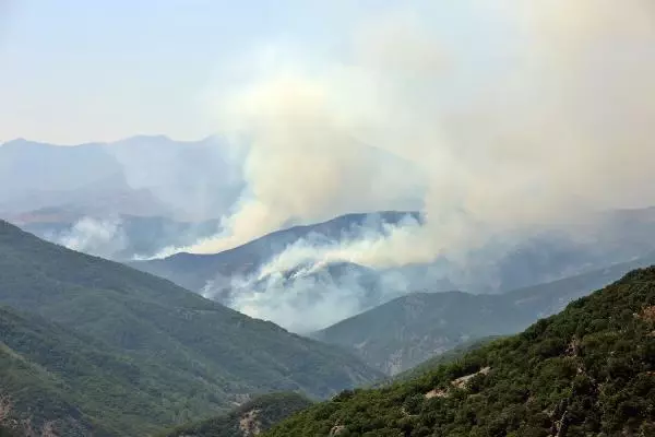 Son dakika haber... TUNCELİ'DE, AYNI BÖLGEDE YİNE ÖRTÜ YANGINI ÇIKTI