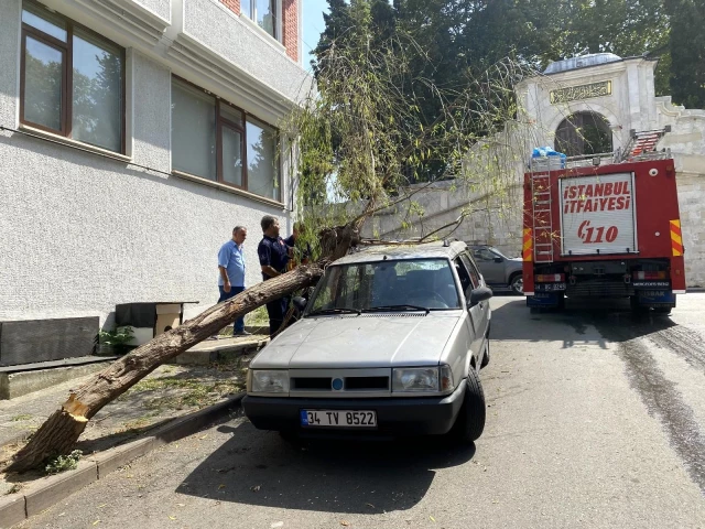 Üsküdar'da kökü çürüyen söğüt ağacı otomobil üzerine devrildi