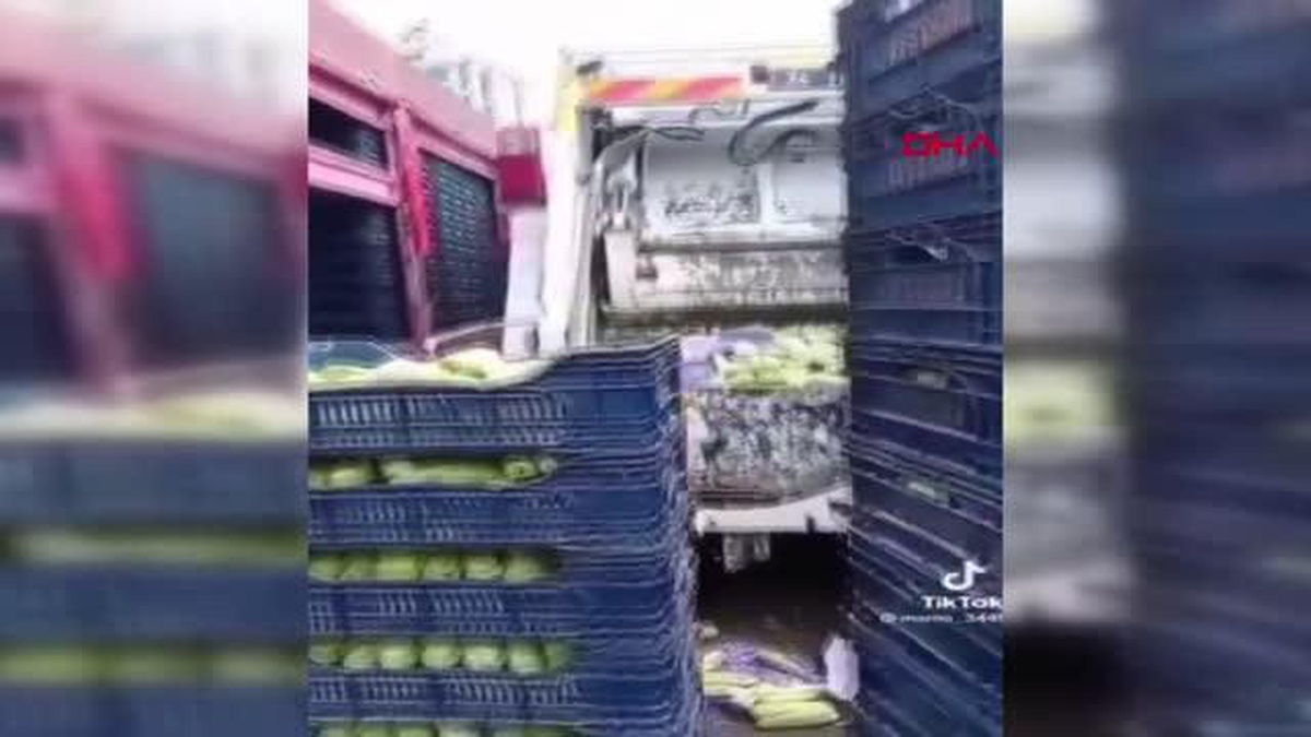 İSTANBUL-KASALARCA SEBZEYİ ÇÖPE ATTI, SORUŞTURMA BAŞLATILDI - Vimarsana News