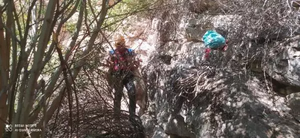 Kanyonda mahsur kalan keçileri raftingciler kurtardı