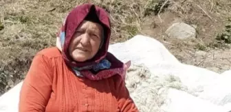 Mantardan zehirlenen büyükanne öldü, 6 torunu hastanelik oldu