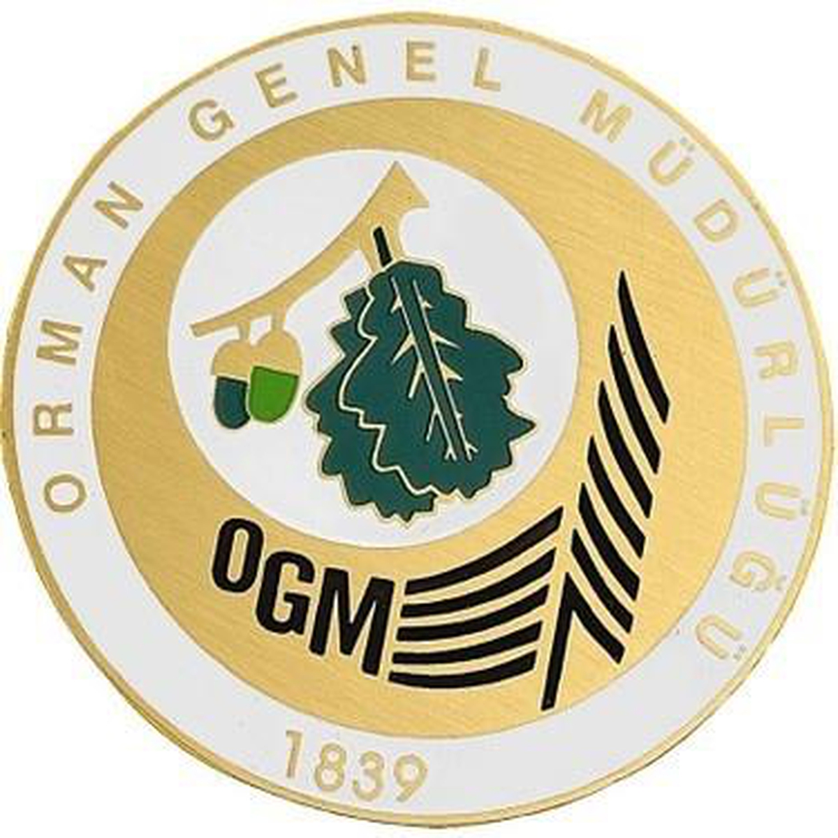 OGM: "Bugün çıkan 7 orman yangınının tamamını kontrol altına aldık" - Vimarsana News