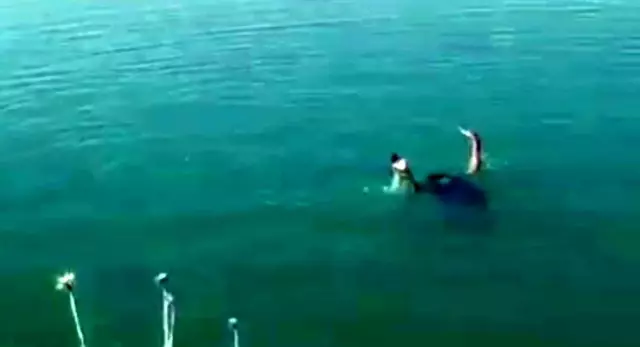 Boğulmak üzere olan genci itfaiye ekipleri böyle kurtardı