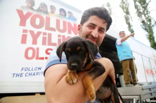 KASTAMONU - Sel enkazından çıkartılan Bozkurt u yardım aracı şoförü sahiplendi