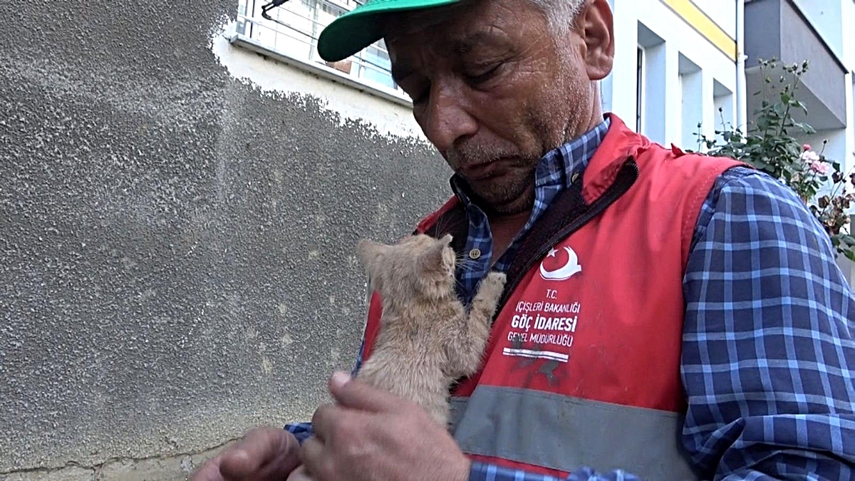 Taşradaki göç personeli afetzedelere yardım için Sinop'ta - Vimarsana News