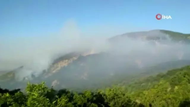 Tunceli'deki orman yangını devam ediyor