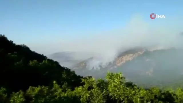Tunceli'deki orman yangını devam ediyor