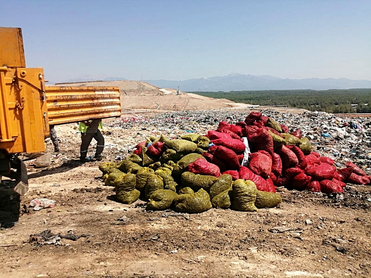 Antalya'da 4 ton kaçak midye ele geçirildi - Vimarsana News
