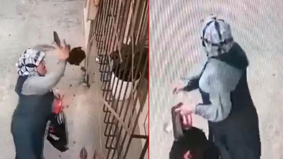 Camdaki çiçeği gözüne kestiren kadın, saksıdan söküp çaldı! Ev sahibine şaşkınlık yaşatan hırsızlık kamerada