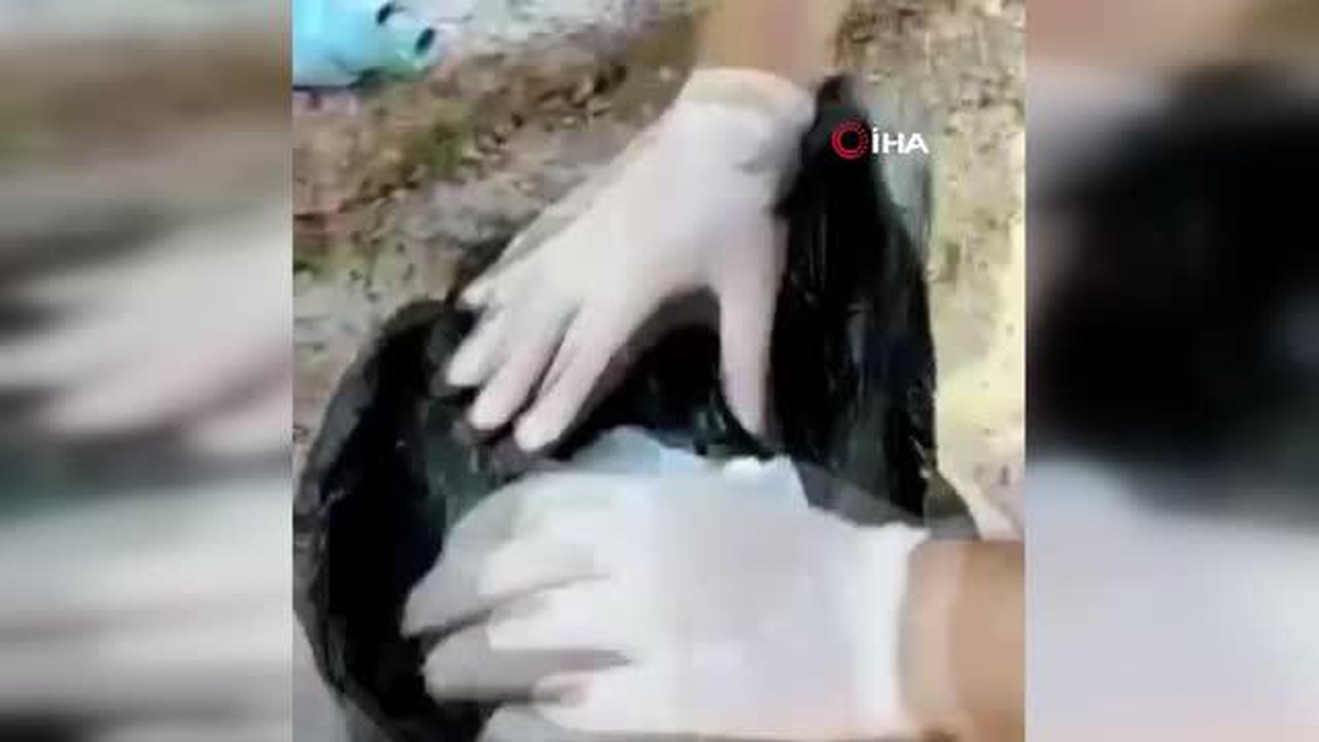 Elazığ'da el çantasında 2 kilo 150 gram esrar ele geçirildi - Vimarsana News