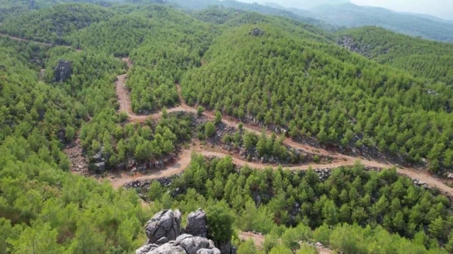 Orman Genel Müdürlüğü, Antalya'da 13 yıl önce yanan ormanlık alanın son halini paylaştı