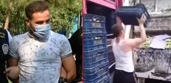 Halde kasalarca kabağı çöpe döken kişi kendini böyle savundu: Kabaklar çürümüştü