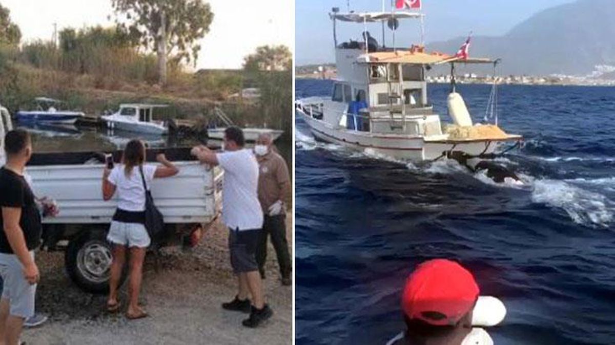 Tam 300 kilo ağırlığında! Ava çıkan balıkçılar tarafından fark edilen ölü fok, iş makinesiyle sudan çıkarıldı